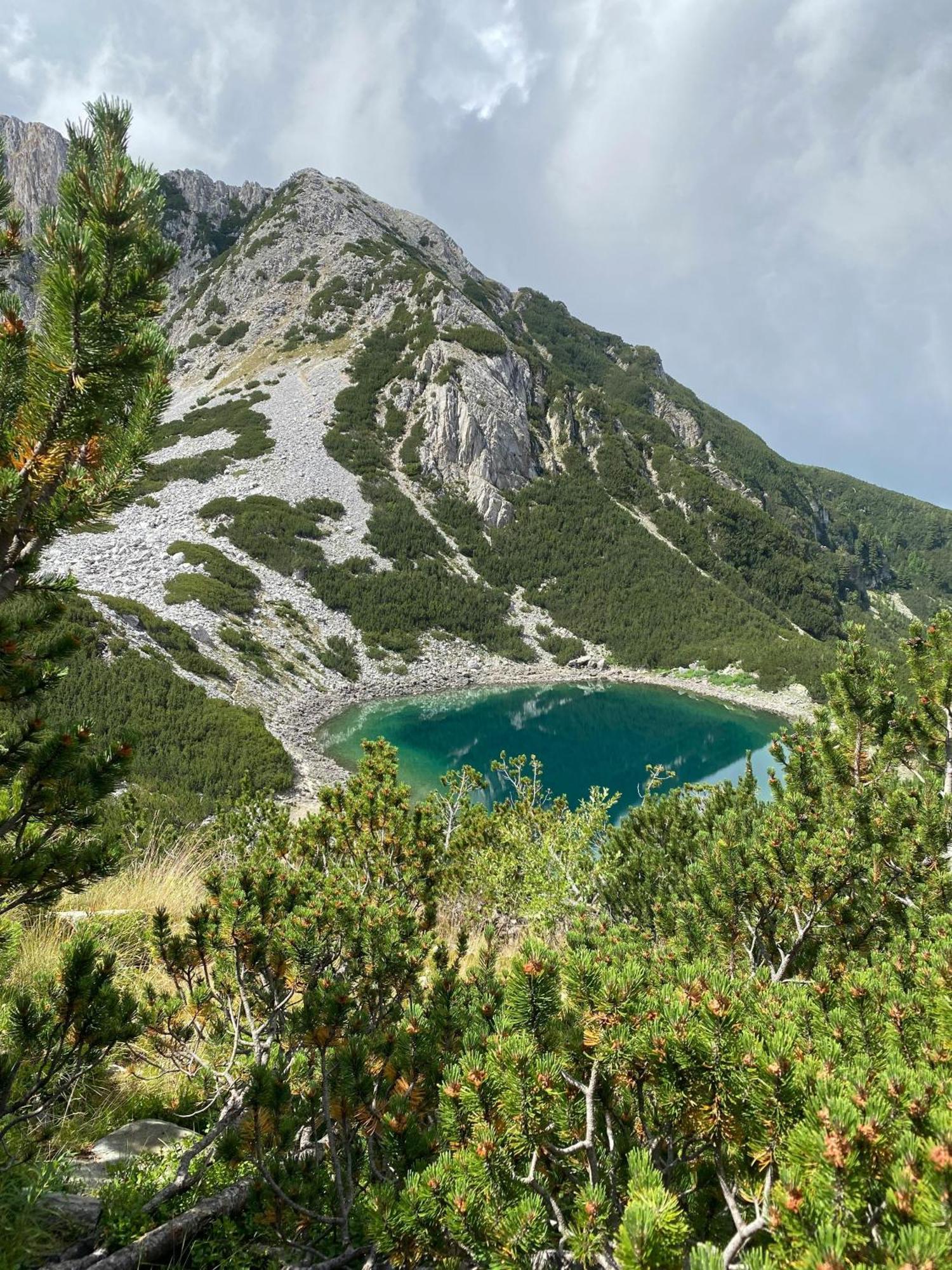 Efo Apartment Bansko Bagian luar foto